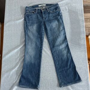 Joe's Jeans Classic Blue Boot Cut Jeans